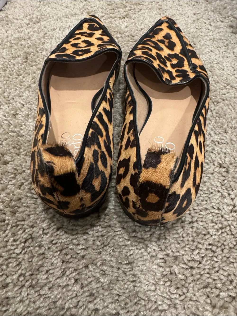 Franco Sarto chic pointed
